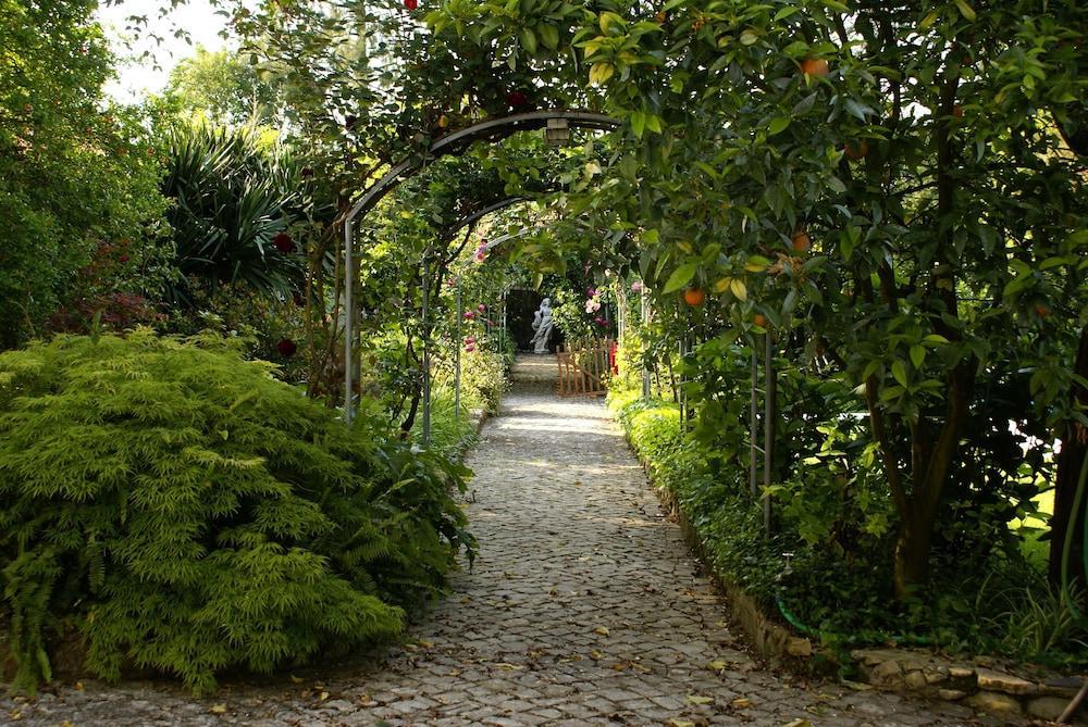 Quinta De Sao Lourenco Anadia Exterior photo
