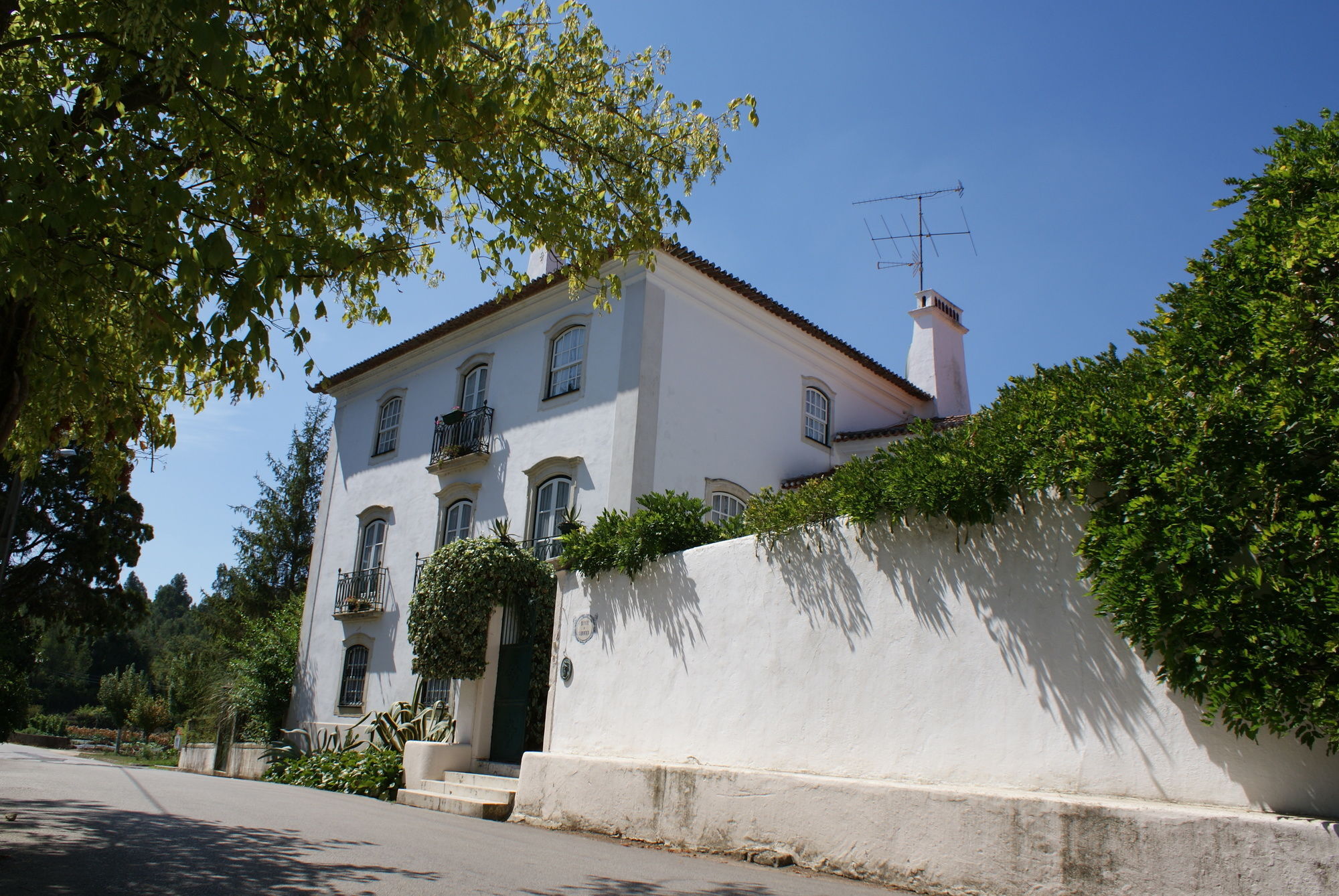 Quinta De Sao Lourenco Anadia Exterior photo